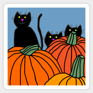 Three Black Cats and Pumpkins Sticker